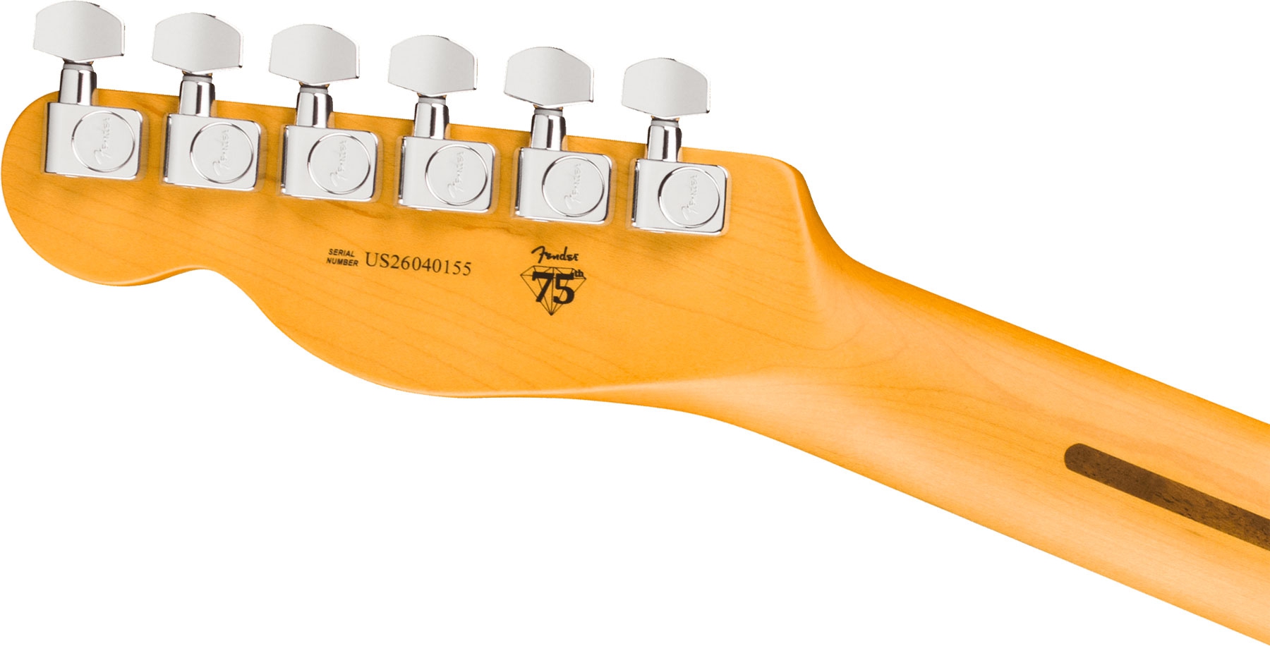 Fender American Professional Telecaster RW Dark Night