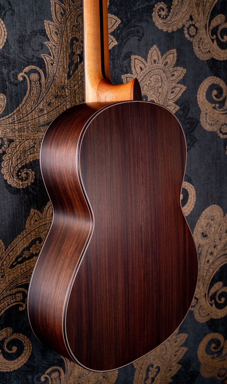 Hanika Bariton Custom Natural PF Udo Rösner pickup