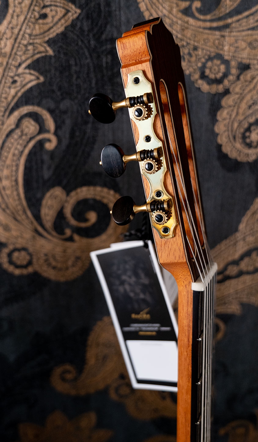 Hanika Bariton Custom Natural PF Udo Rösner pickup