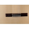 Hanika Bariton Custom Natural PF Udo Rösner pickup