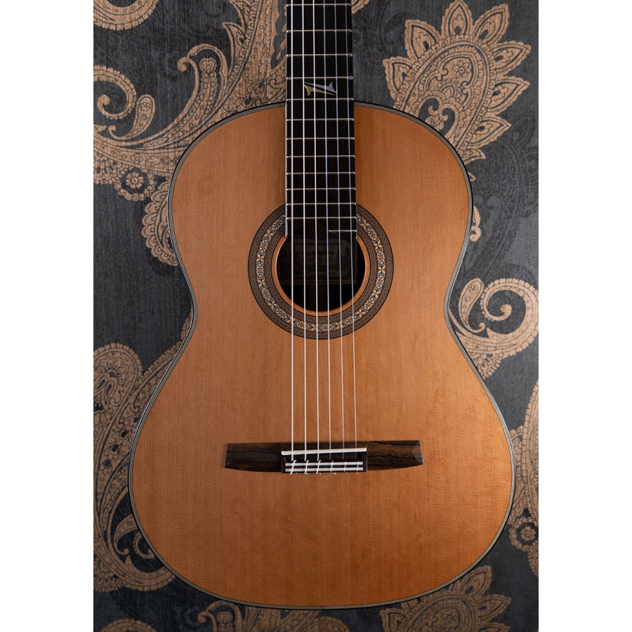 Hanika 52AF Guitar Summit Custom