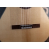 Hanika Flamenco KF Udo