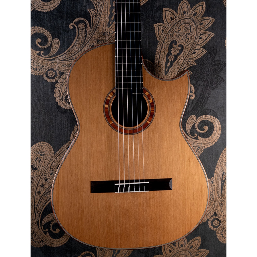 Hanika BasisCut PC Custom Udo Rrösner pickup