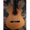 Hanika BasisCut PC Custom Udo Rrösner pickup