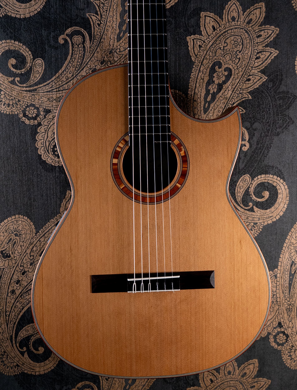 Hanika BasisCut PC Custom Udo Rrösner pickup