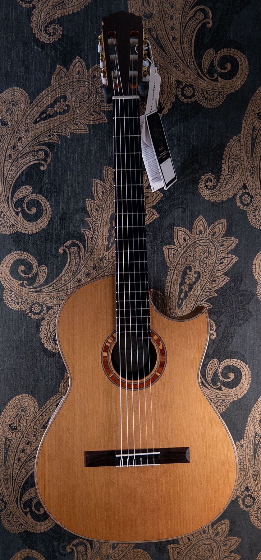 Hanika BasisCut PC Custom Udo Rösner pickup