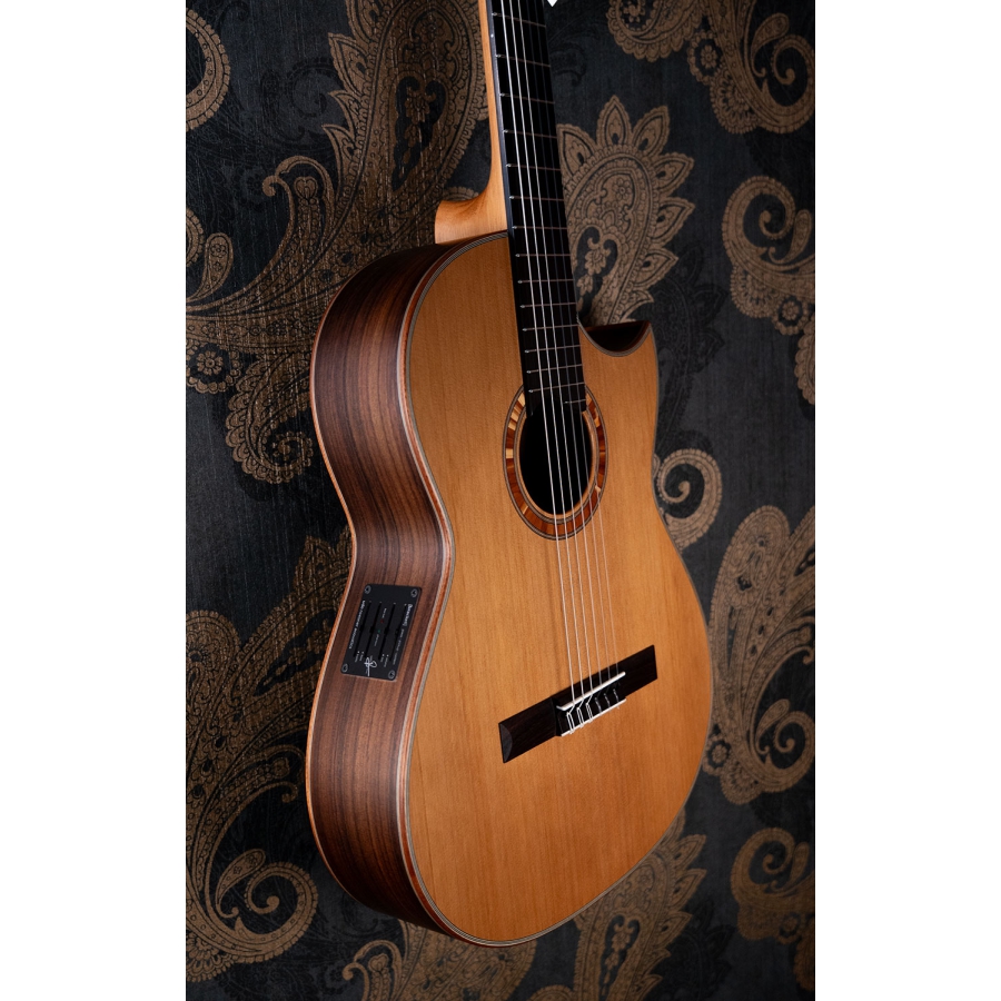 Hanika BasisCut PC Custom Udo Rrösner pickup