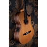 Hanika BasisCut PC Custom Udo Rrösner pickup