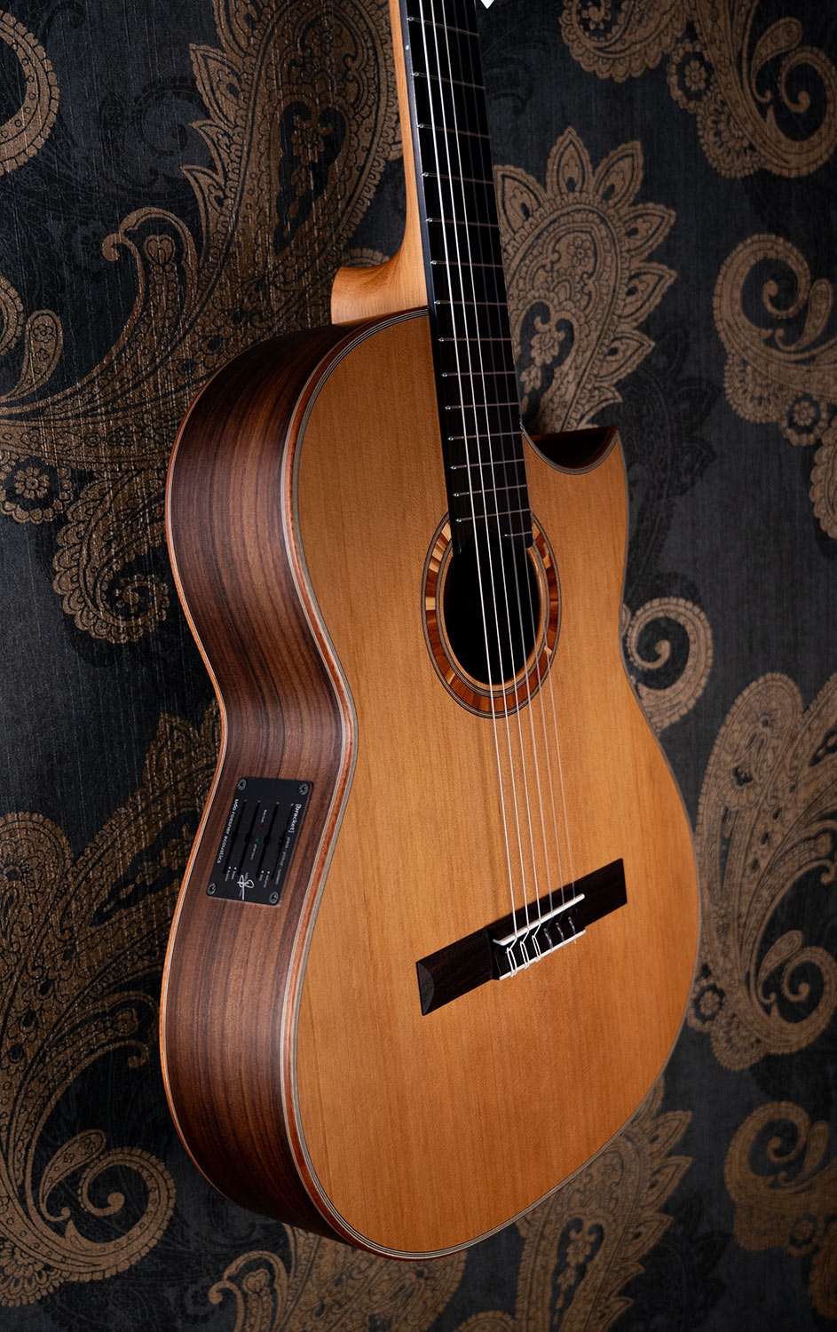 Hanika BasisCut PC Custom Udo Rrösner pickup