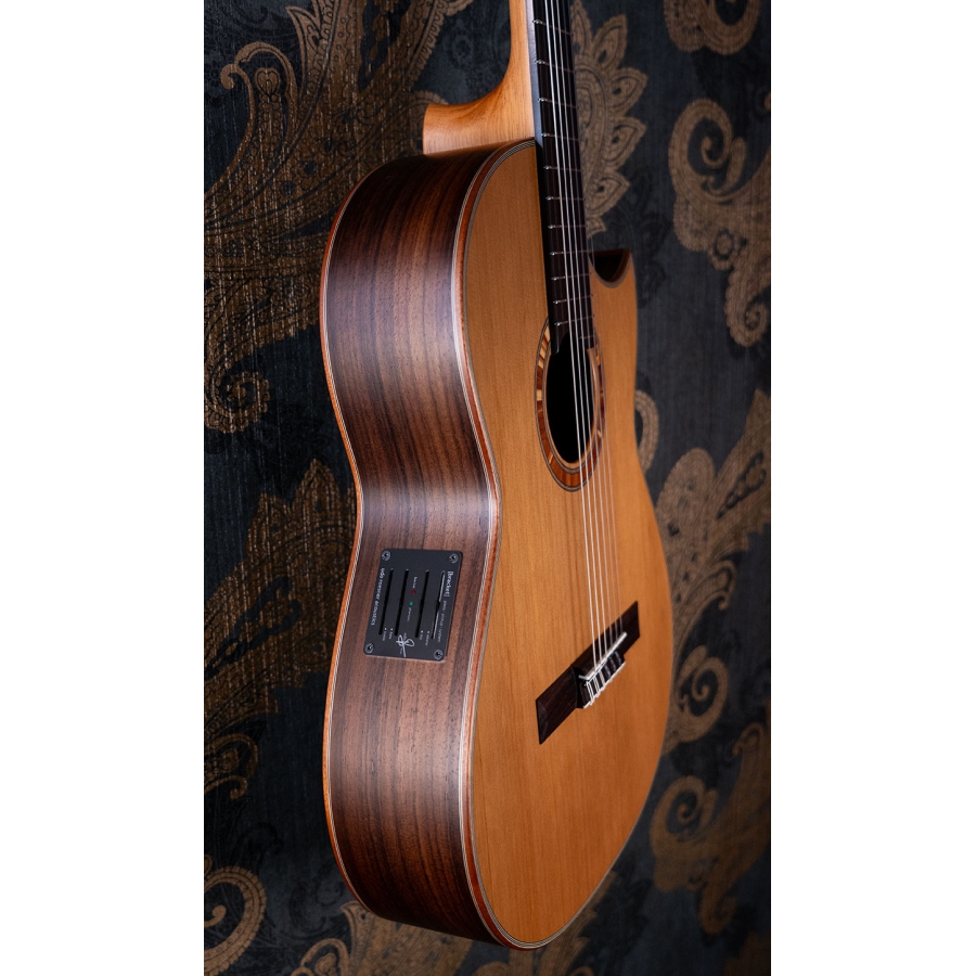 Hanika BasisCut PC Custom Udo Rrösner pickup