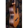 Hanika BasisCut PC Custom Udo Rrösner pickup