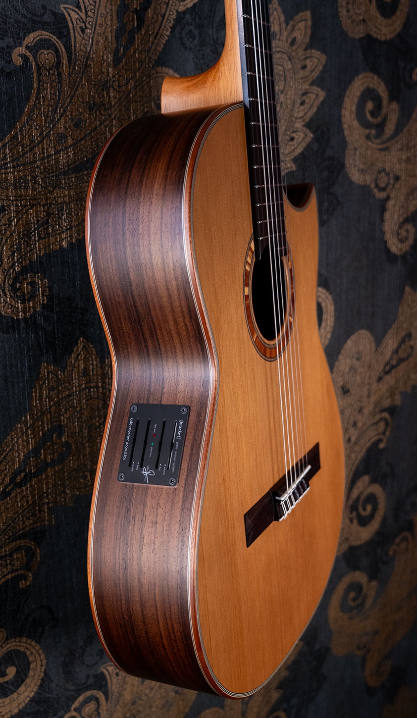 Hanika BasisCut PC Custom Udo Rrösner pickup