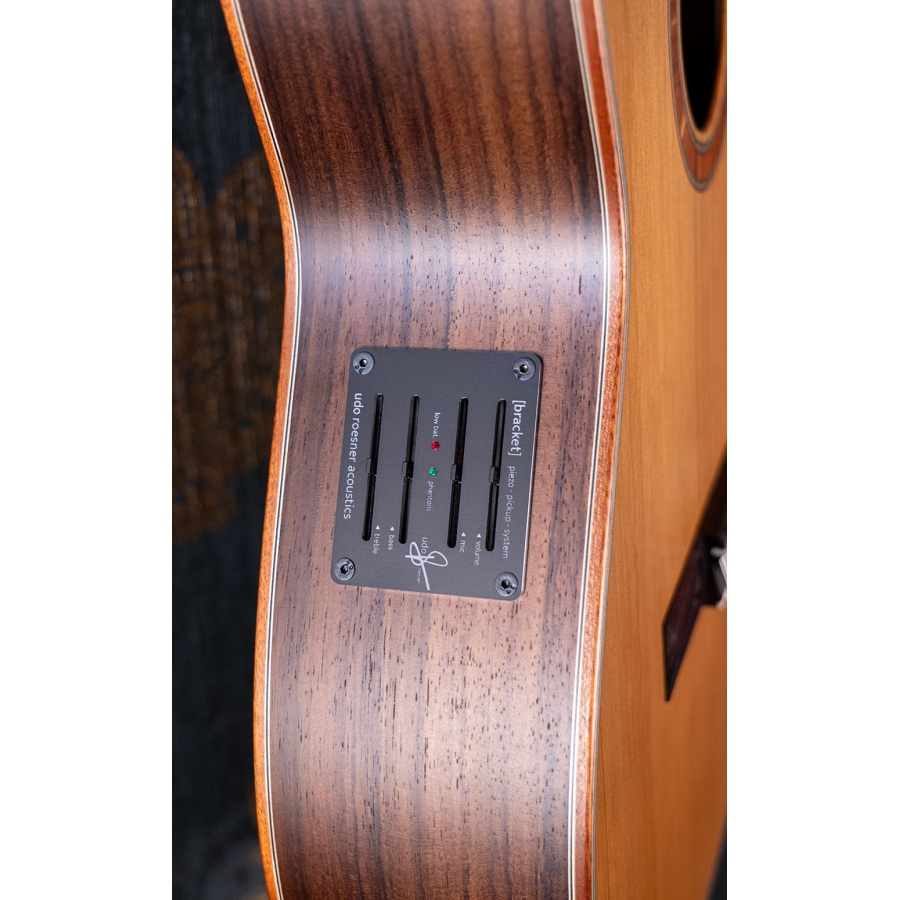 Hanika BasisCut PC Custom Udo Rrösner pickup