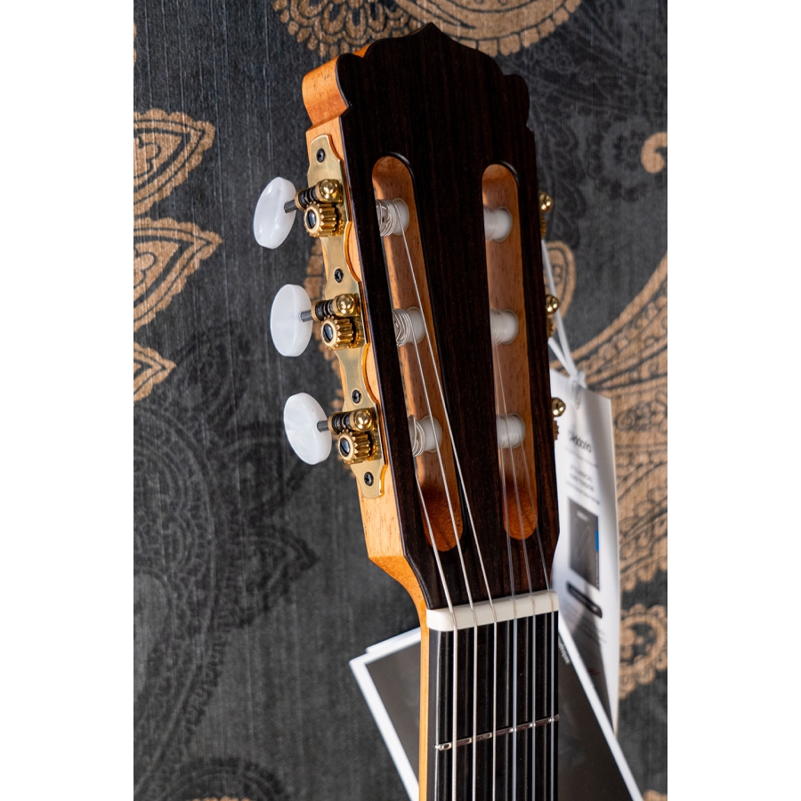 Hanika BasisCut PC Custom Udo Rrösner pickup