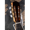 Hanika BasisCut PC Custom Udo Rrösner pickup