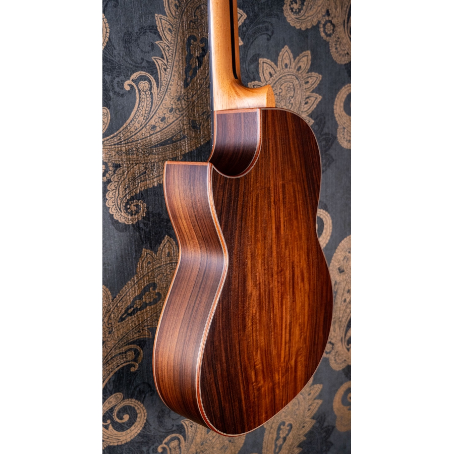Hanika BasisCut PC Custom Udo Rrösner pickup