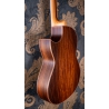 Hanika BasisCut PC Custom Udo Rrösner pickup