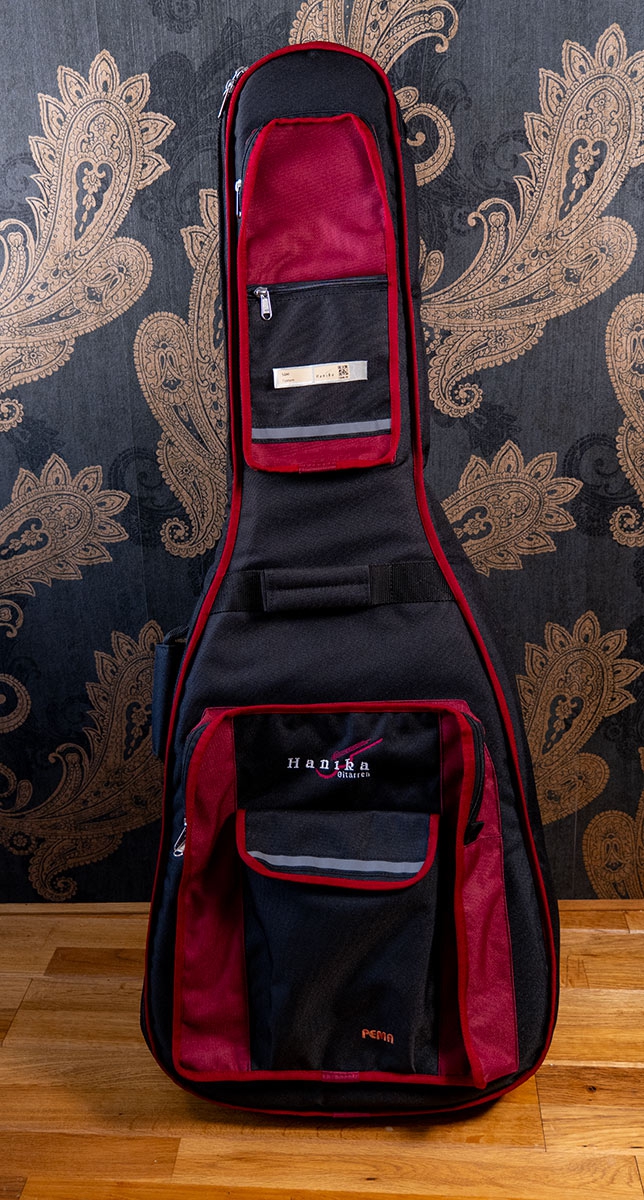 Hanika BasisCut PC Custom Udo Rrösner pickup tas