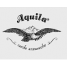 Aquila