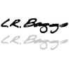 LR Baggs